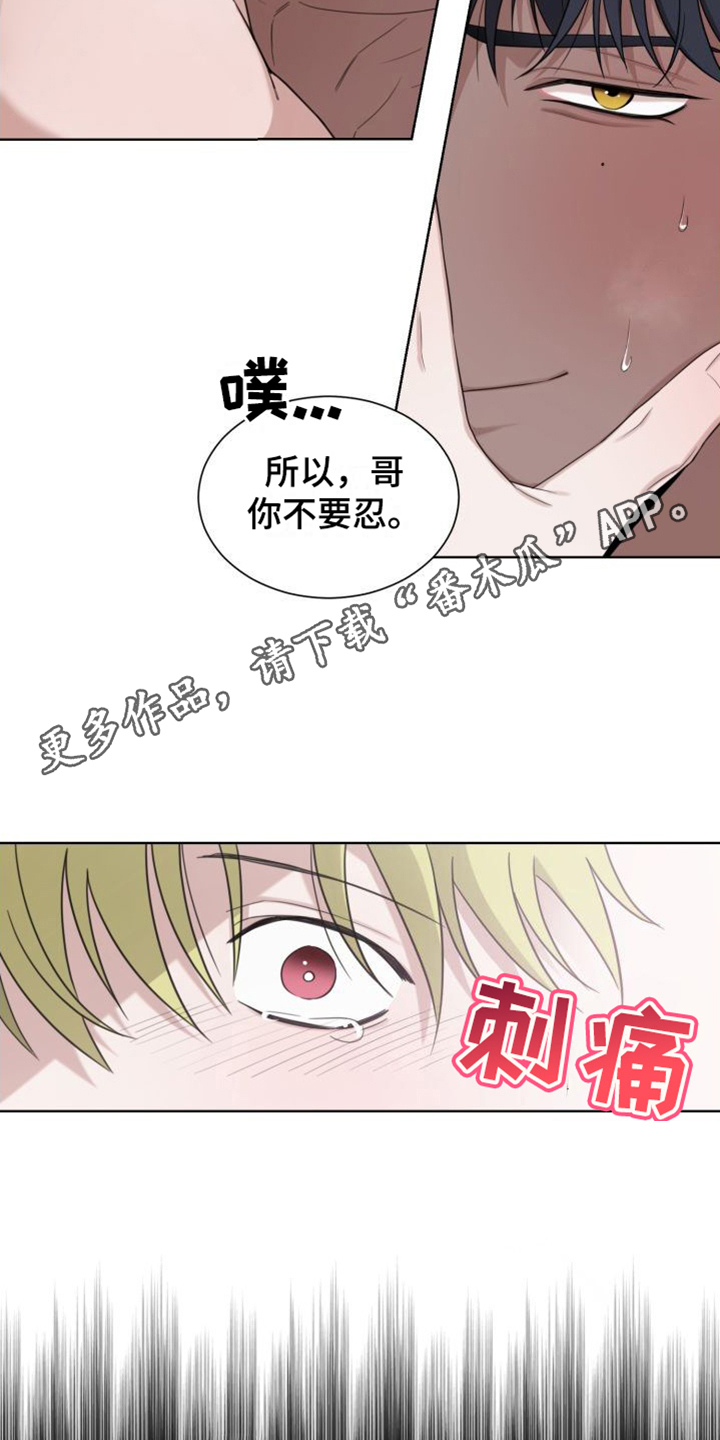 梅之韵什么意思漫画,第7章：不用忍5图