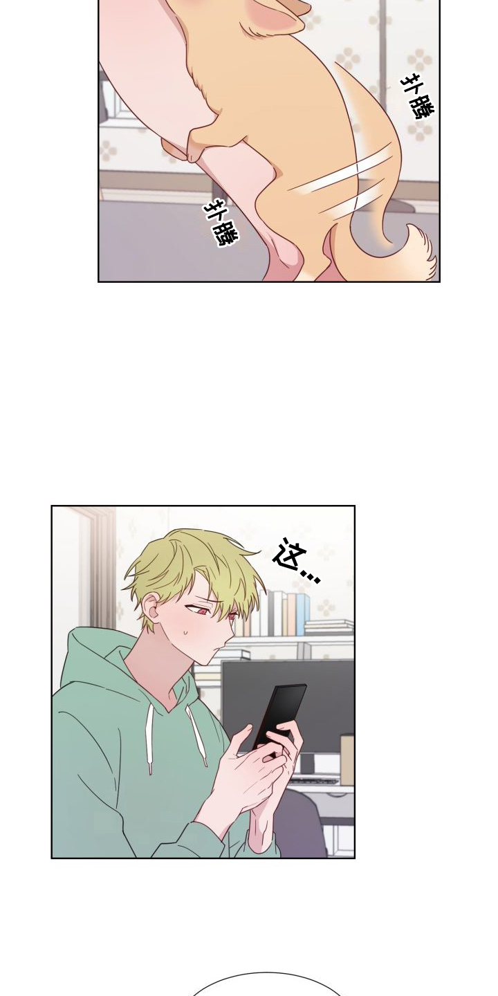 第2章：陌生身影3
