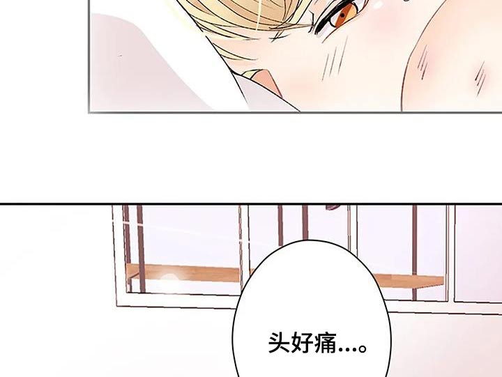 父亲的遗产读后感漫画,第29章：对不起2图