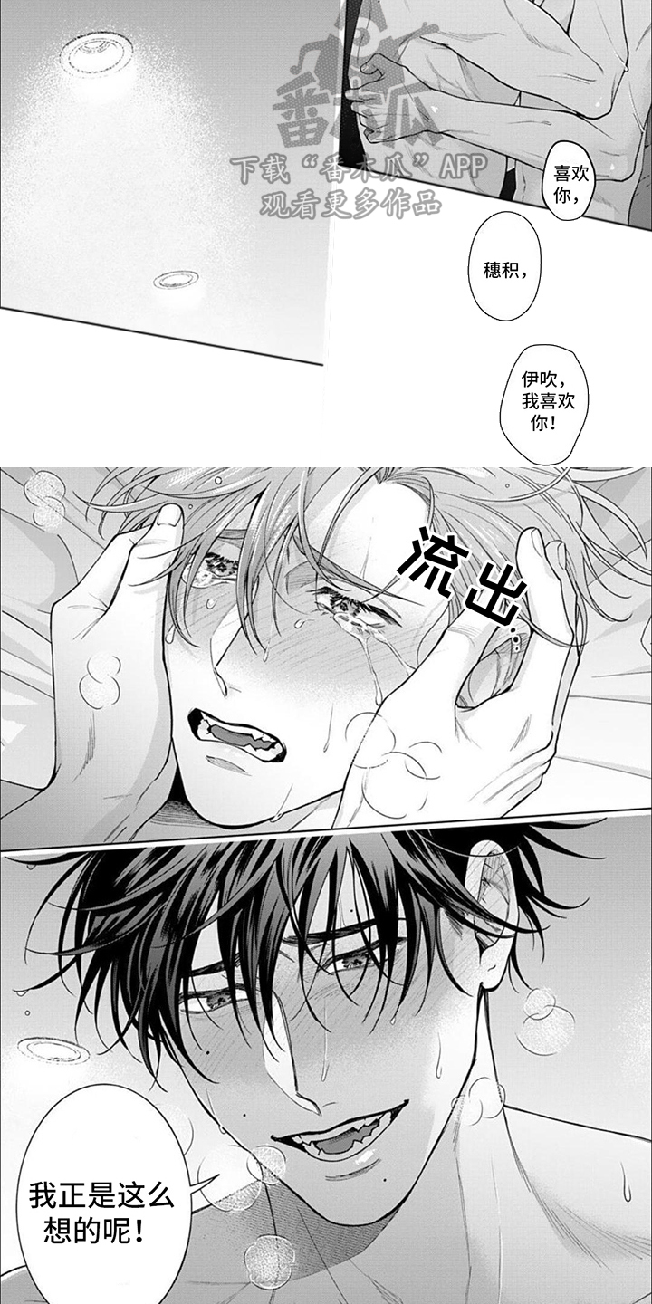 被上天眷顾的人音乐漫画,第16章：表白4图