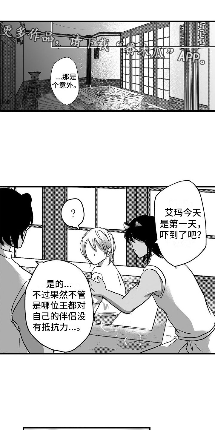 益节液体氨糖和片剂哪个好漫画,第13章：不一样1图