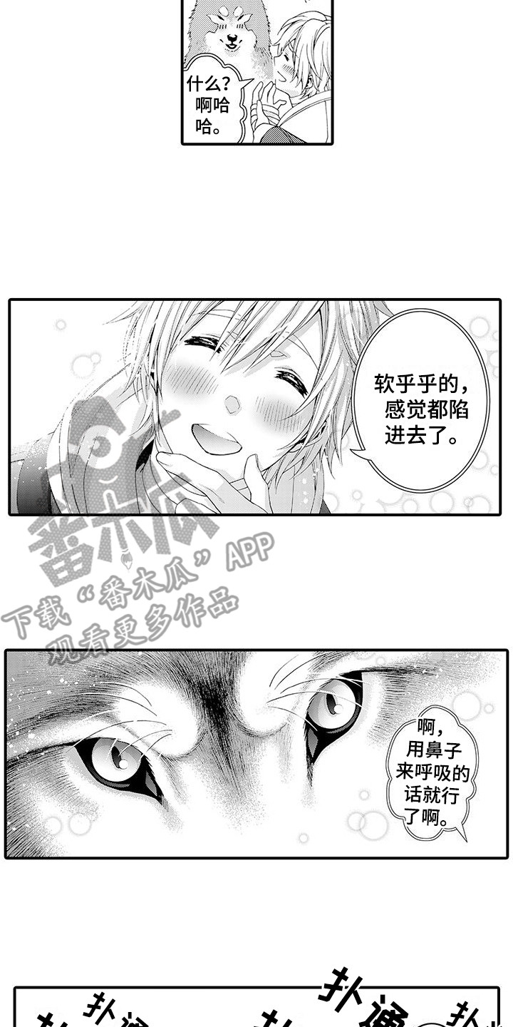 第17章：太诚实了1