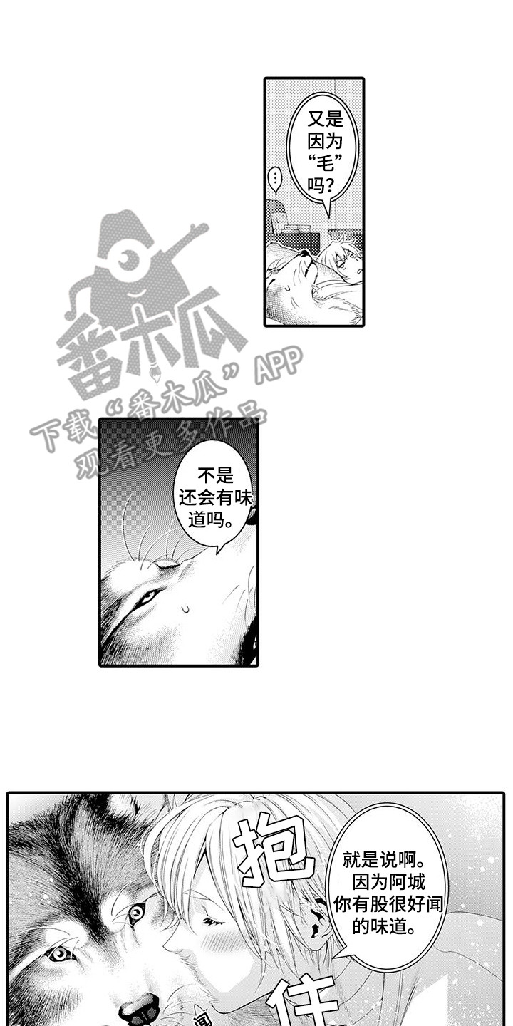 第22章：很好闻1