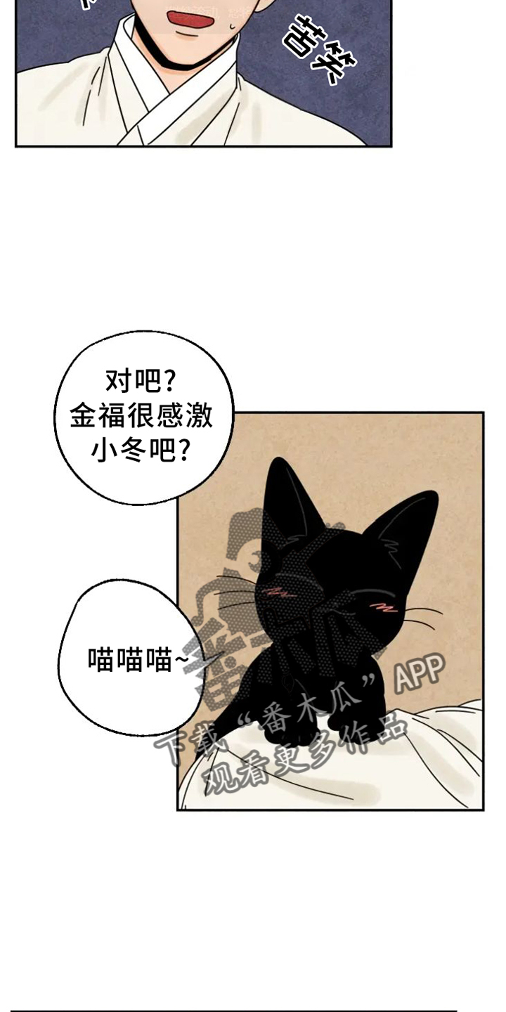 金福的幸福生活漫画,第48章：猫抓板2图