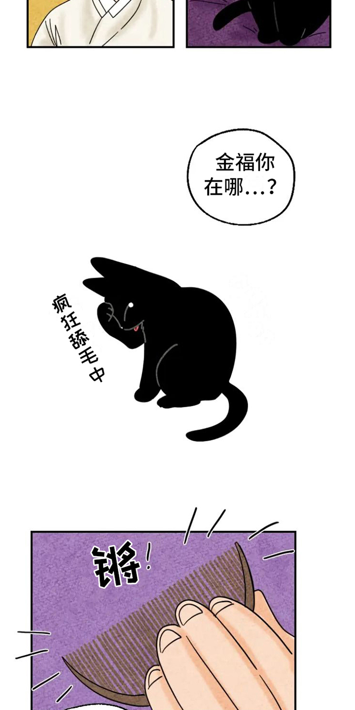 金福的幸福生活漫画,第15章：脏猫2图