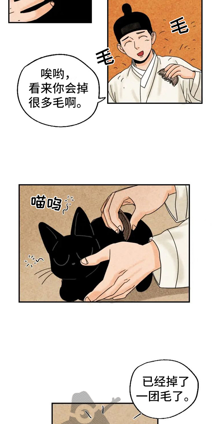 金福的幸福生活漫画,第15章：脏猫4图