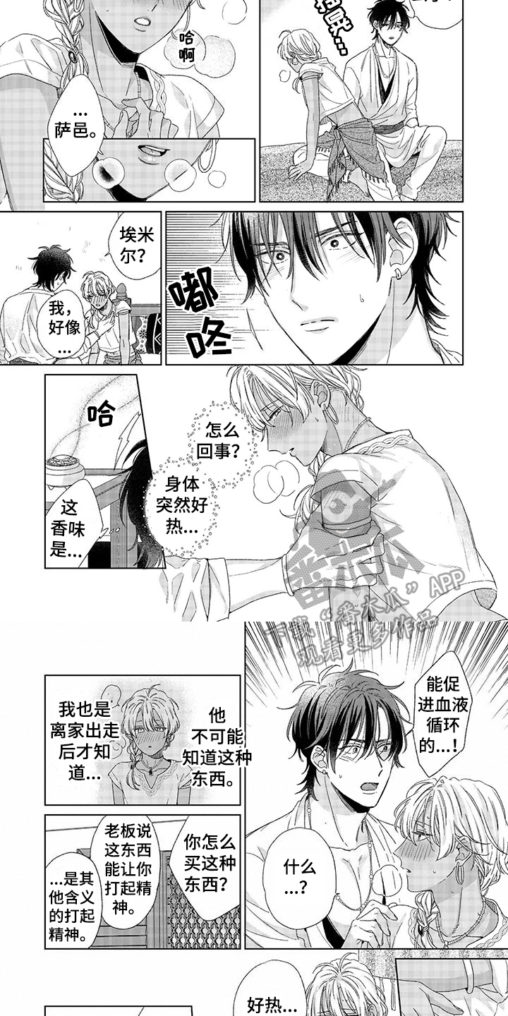 第13章：影响3