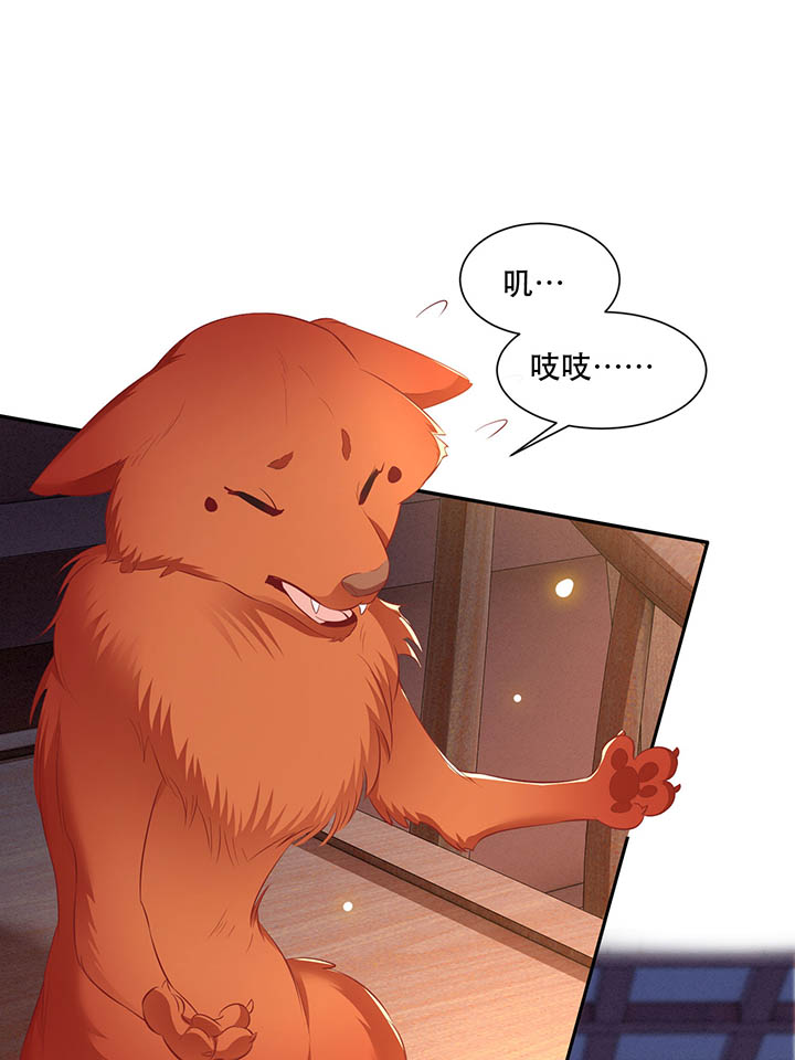 这个王妃路子野得宠在线免费guankan漫画,第110章：赶紧把裤子脱了1图