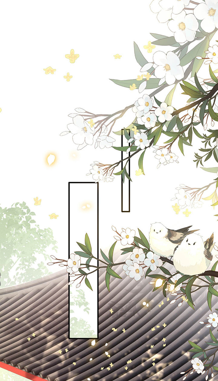 这个妃子路子野得宠全集漫画,第51章：这才一晚，就喜当娘了？1图