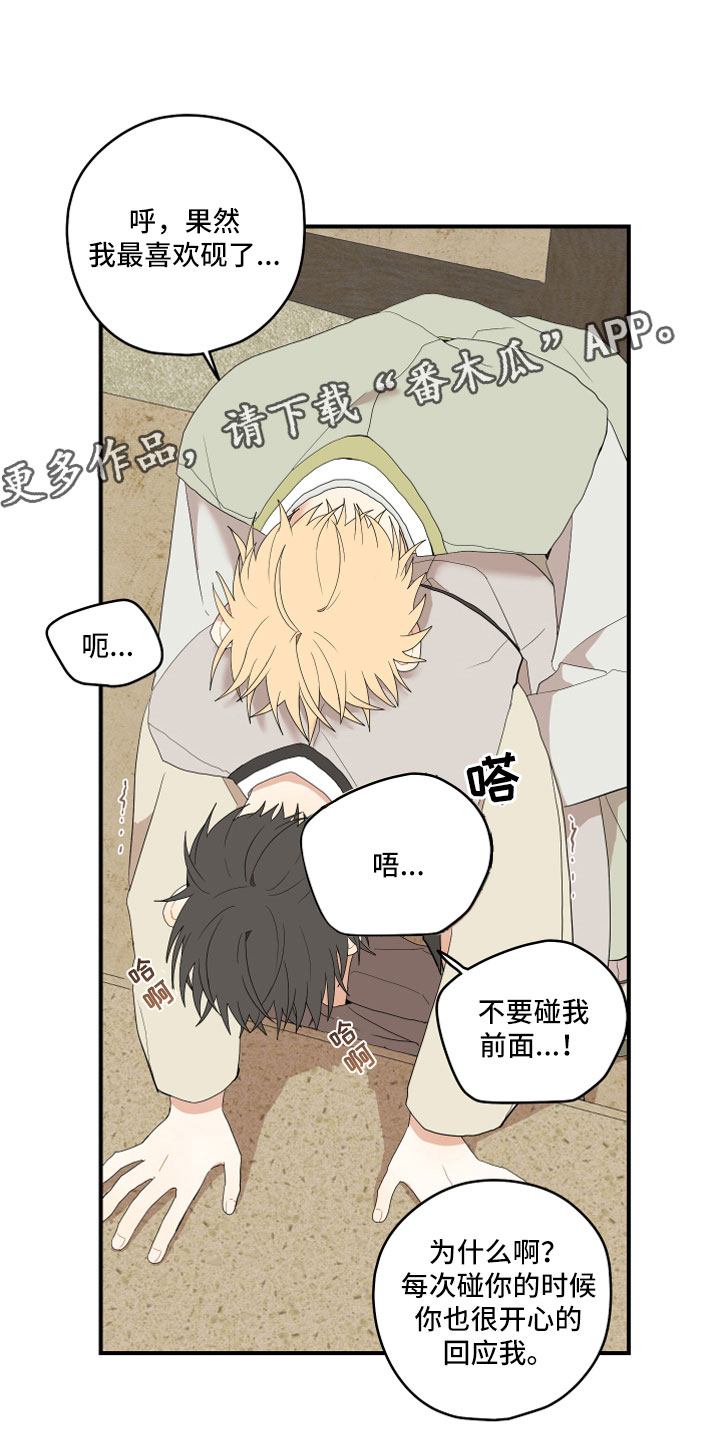 砚与龙合集漫画,第44章：最喜欢了1图