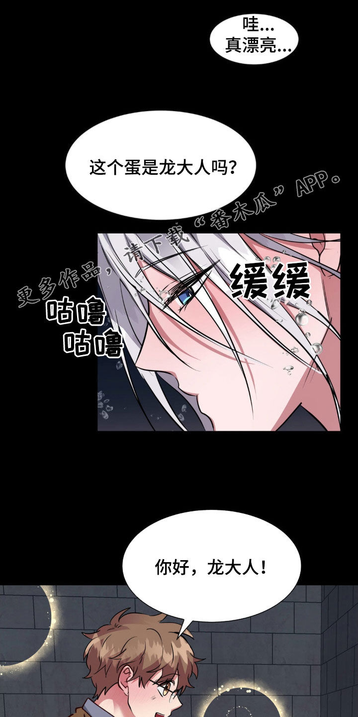龙之蜜堡漫画完整版漫画,第66章：无法平凡（完结）2图