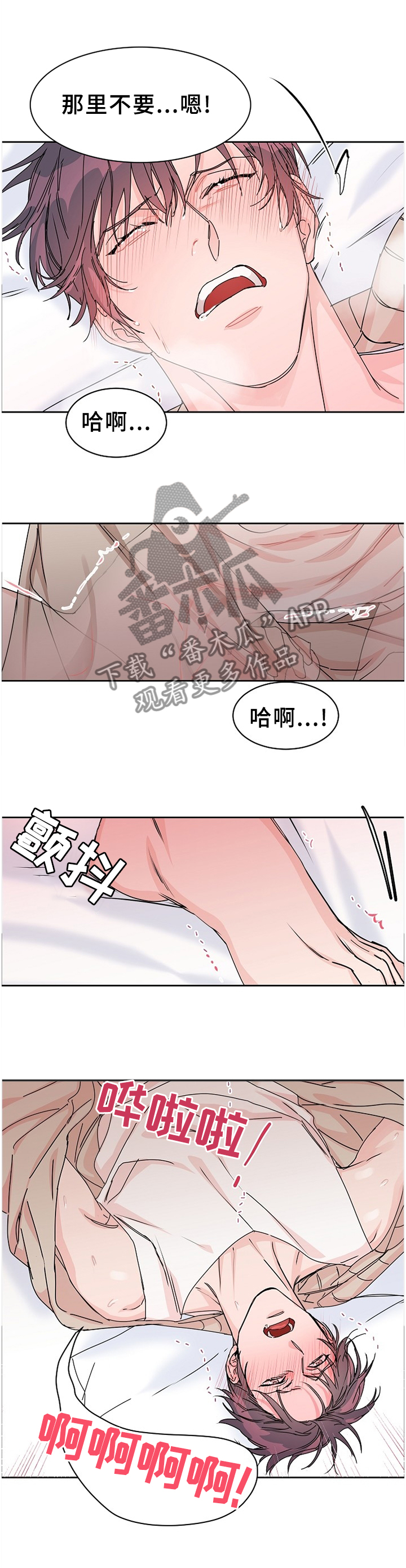 攻陷葛兰高地在线看漫画,第75章：【第二季】所有的爱2图