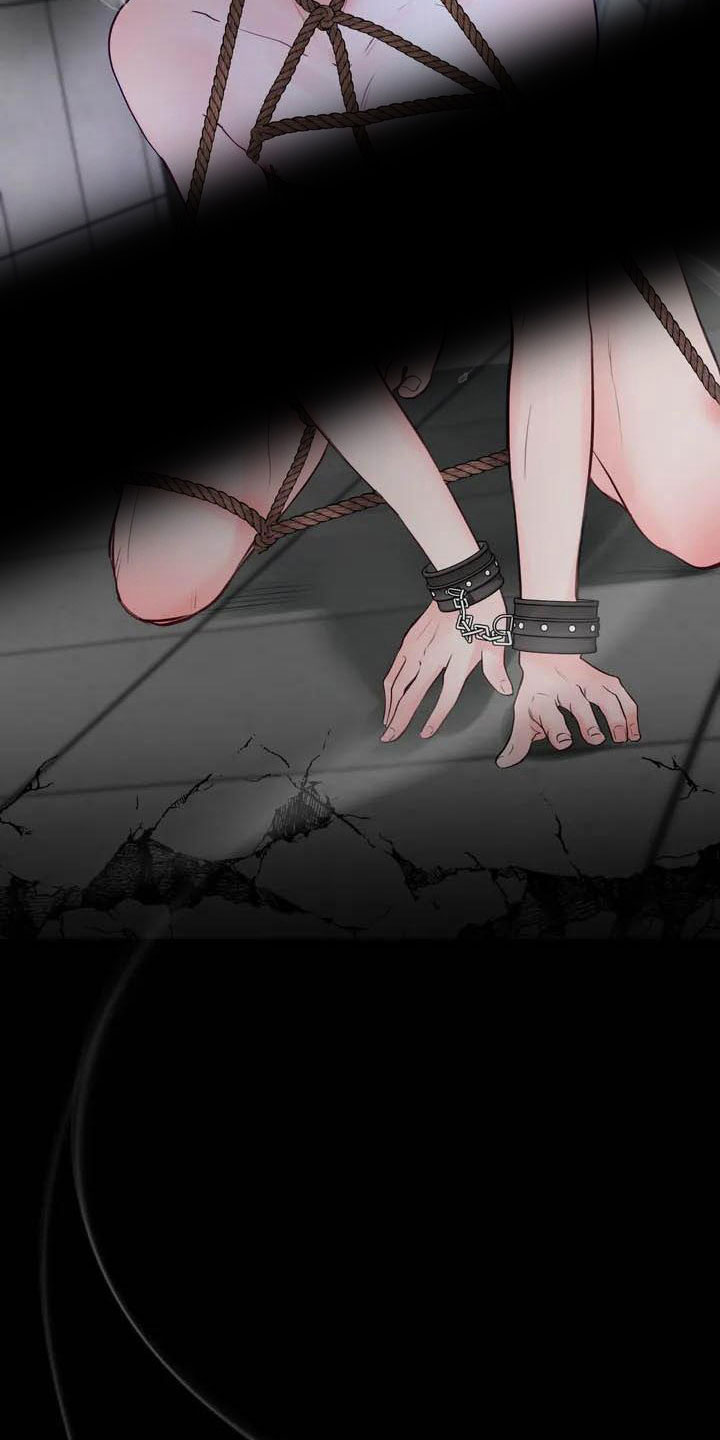 第17章：驯养：家畜1