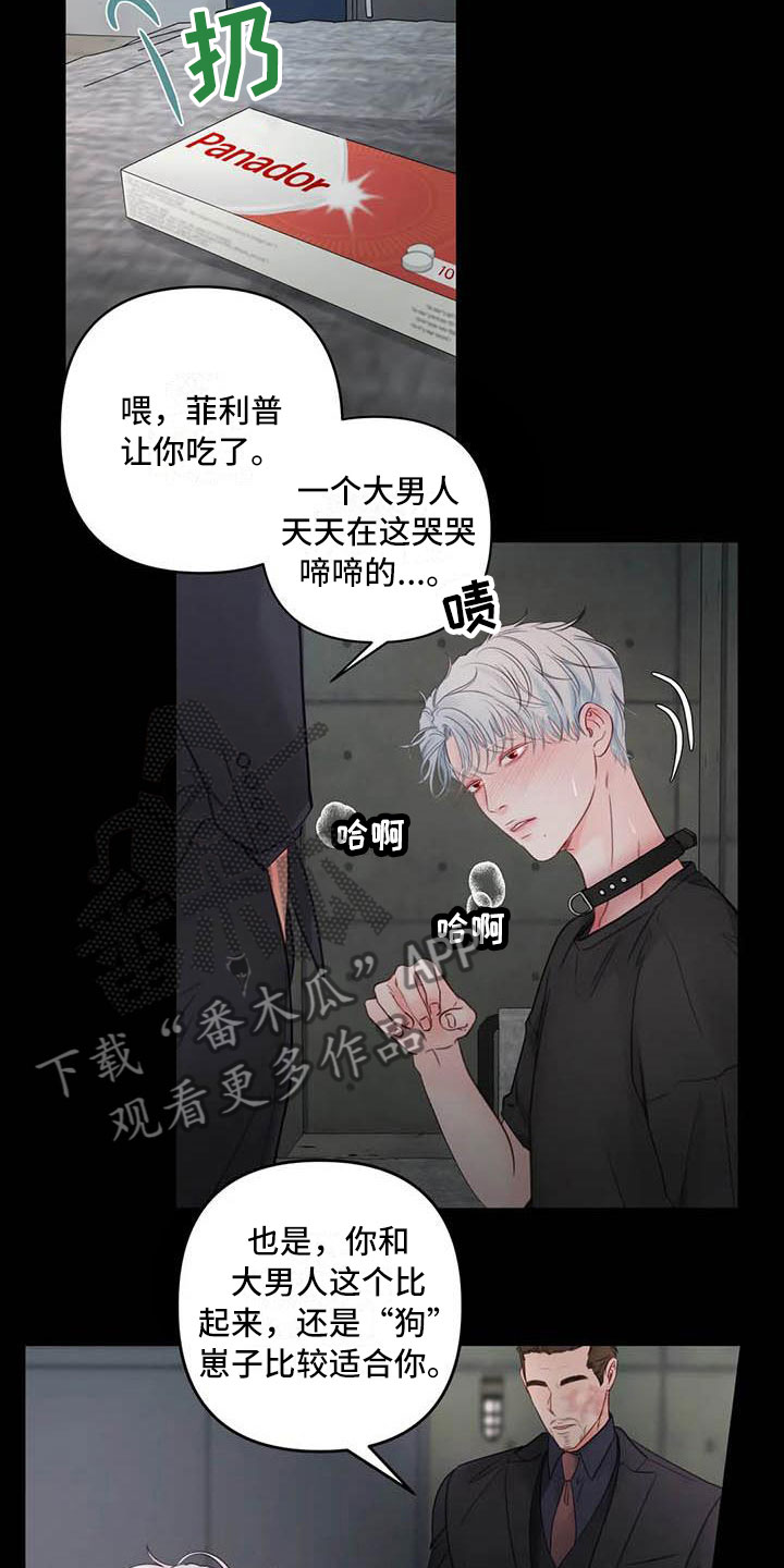 狂攻公寓弱点漫画画免费读漫画漫画,第20章：驯养：心爱的3图