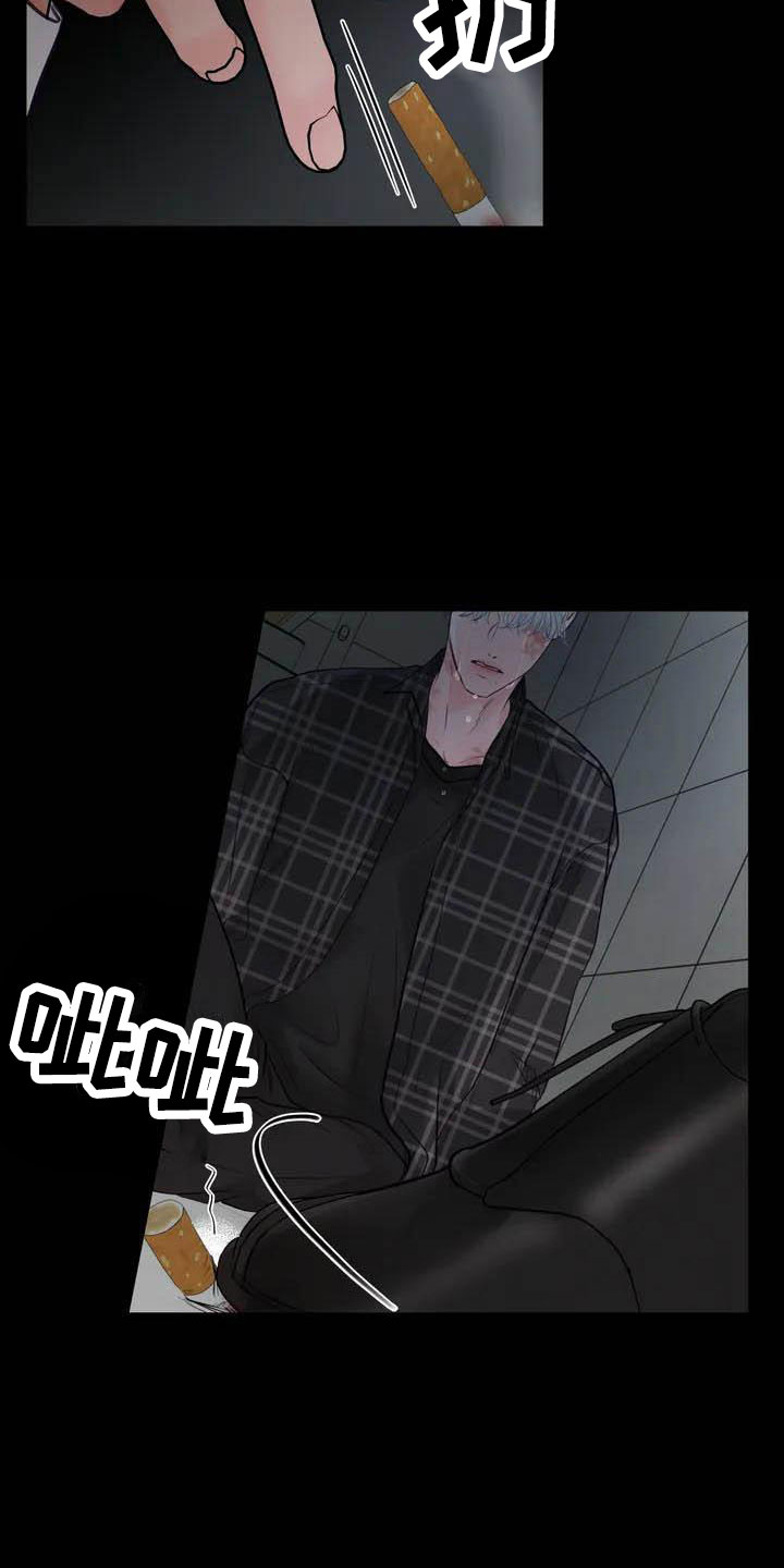 第17章：驯养：家畜3