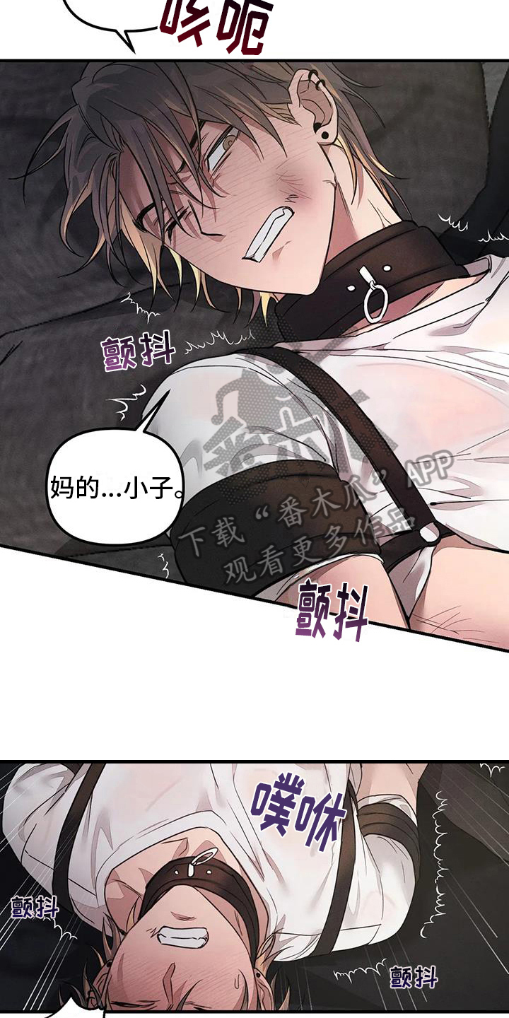 第62章：养狗：输了4