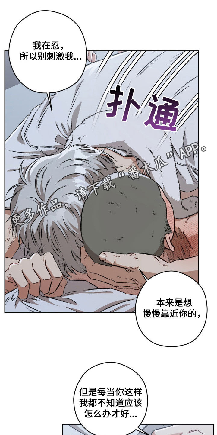 区域经济学漫画,第104章：【第二季】更喜欢了1图