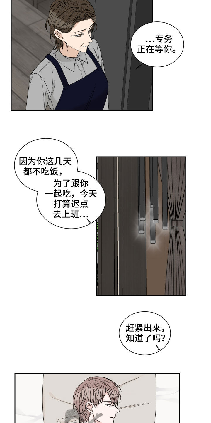 重点项目建设汇报漫画,第47章：都是谎话3图