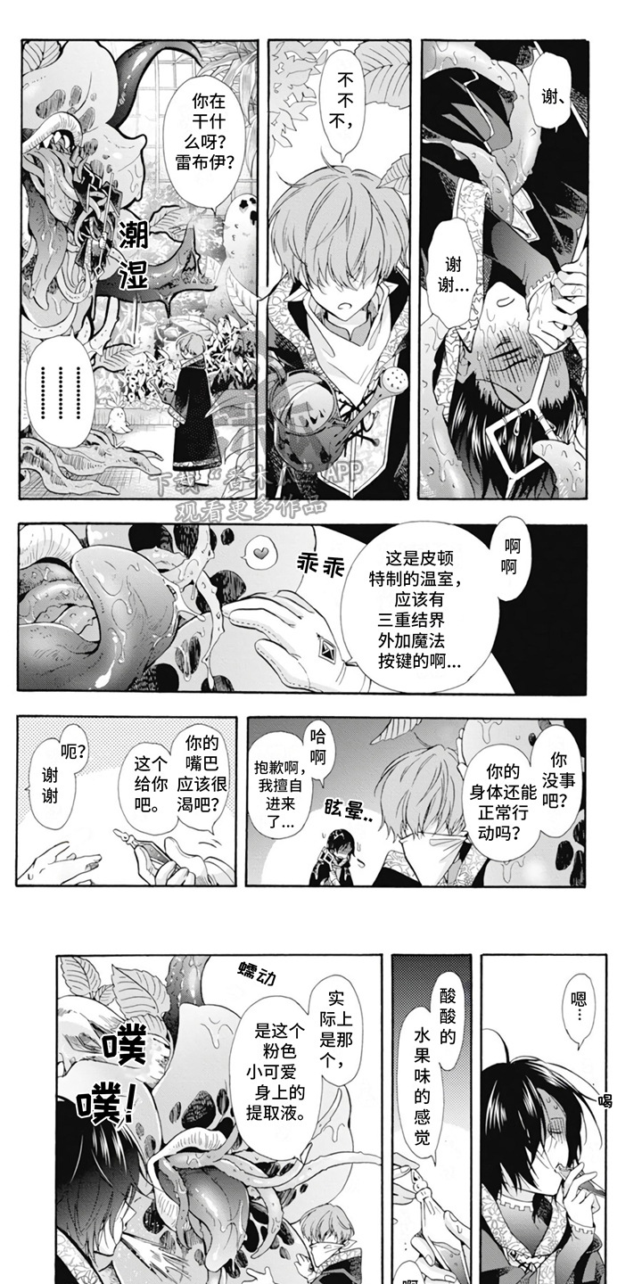 童话的黑暗漫画,第6章：很耀眼1图