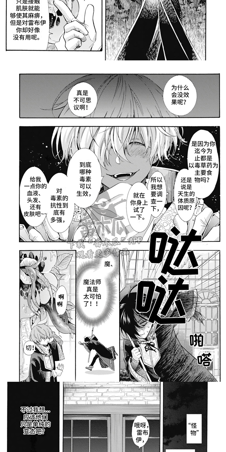 童话的黑暗漫画,第6章：很耀眼3图
