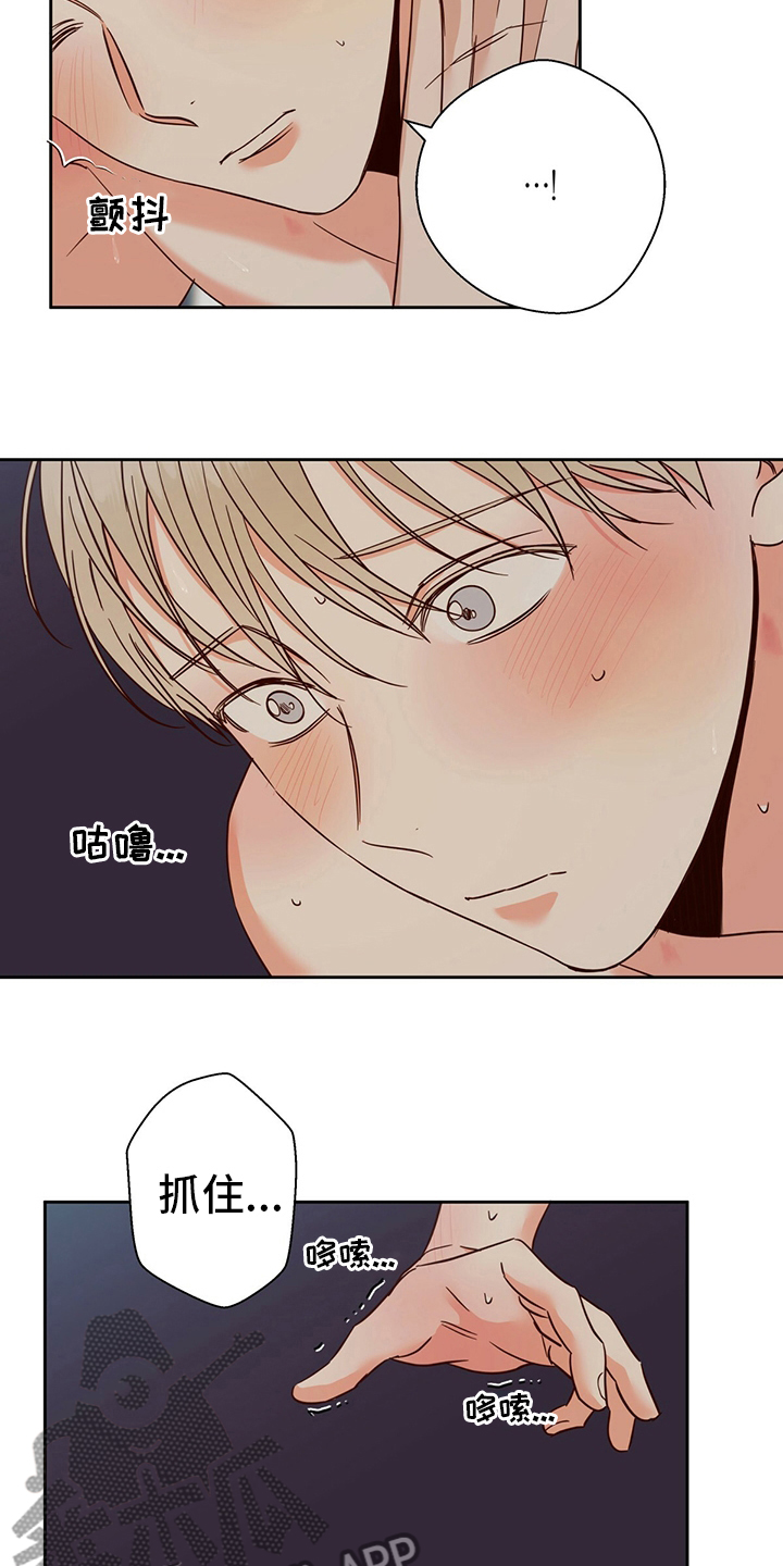 危险便利店漫画免费阅读漫画,第104章：【第二季】娇气4图