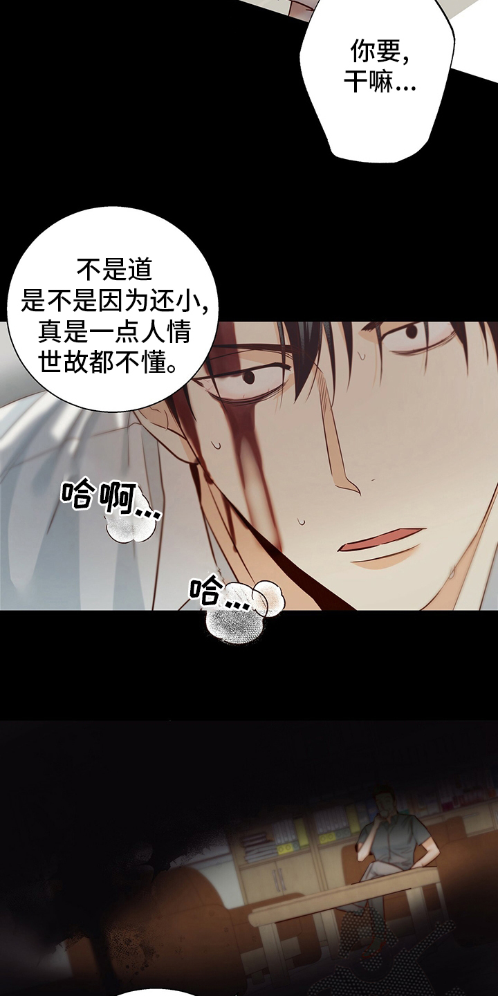 危险便利店番外漫画,第115章：【番外】运气5图