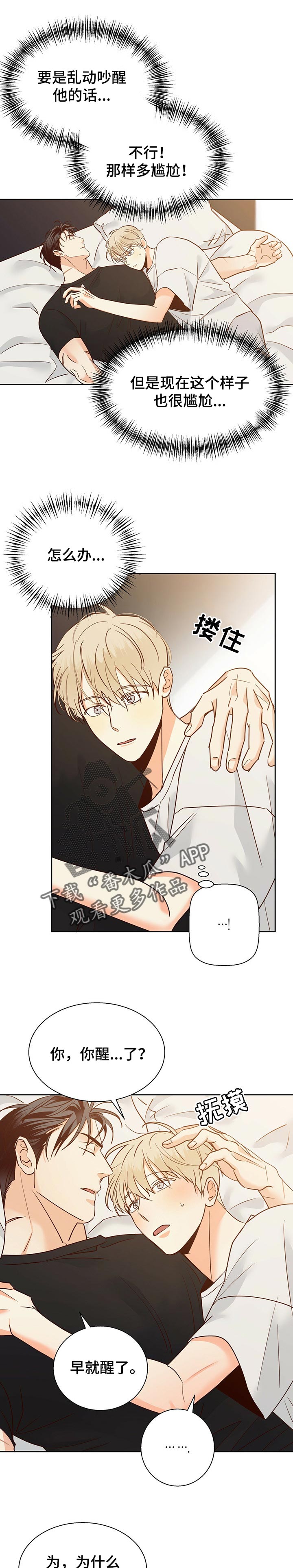 危险便利店漫画完整漫画,第79章：【第二季】花1图