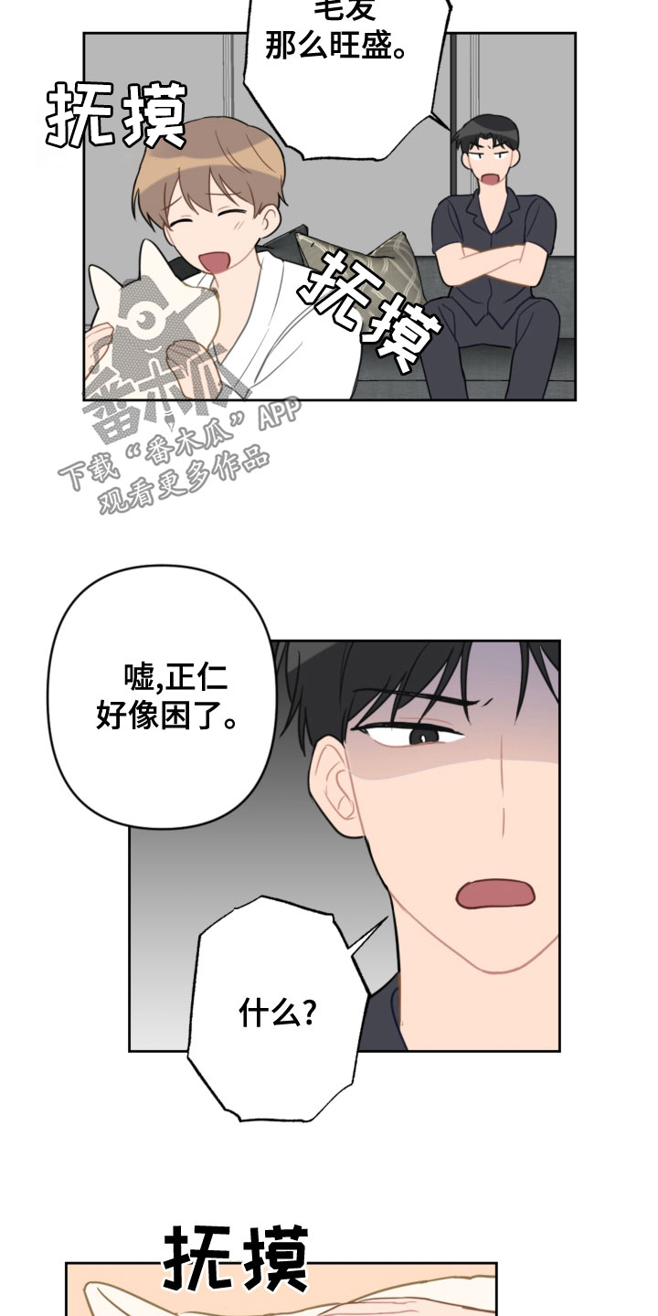 恋爱攻击漫画,第119章：同眠5图