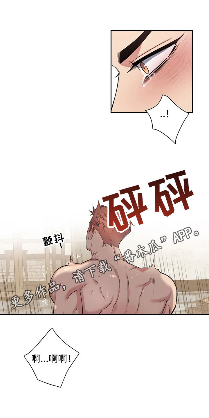 你是主人我是仆在线观看樱花动漫第二季漫画,第93章：【第二季】独家消息1图