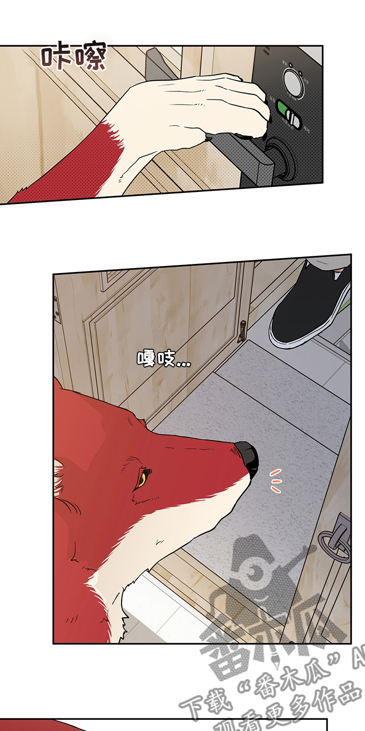 赤狼卫漫画,第93章：出去走走吧5图