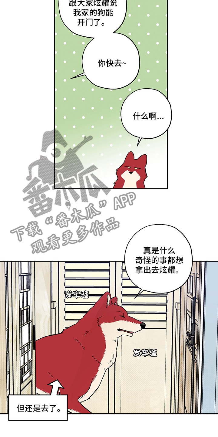 赤狼卫漫画,第93章：出去走走吧4图