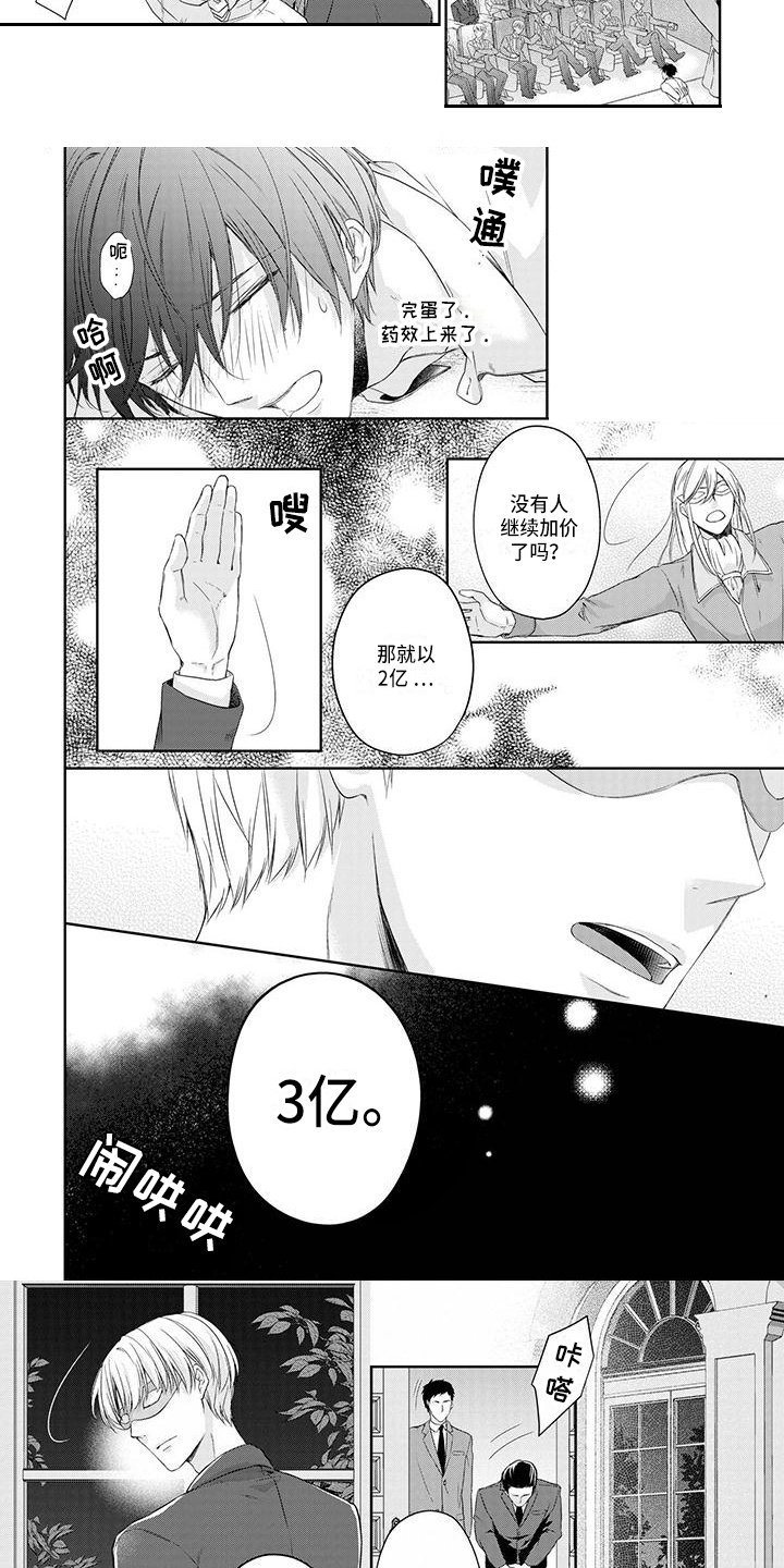 稳定的关系什么意思漫画,第2章：拍卖2图