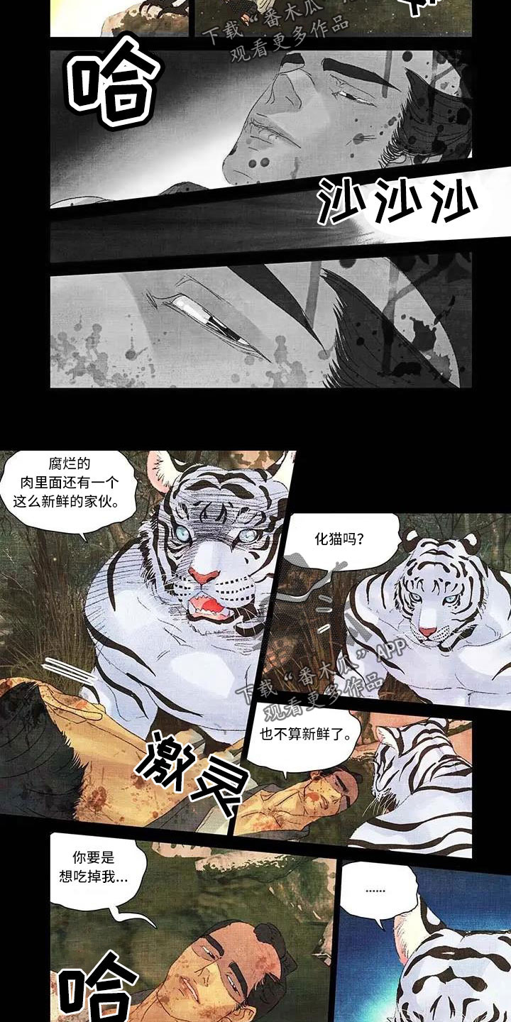第一百个新娘贾静雯漫画,第61章：忠诚下人2图