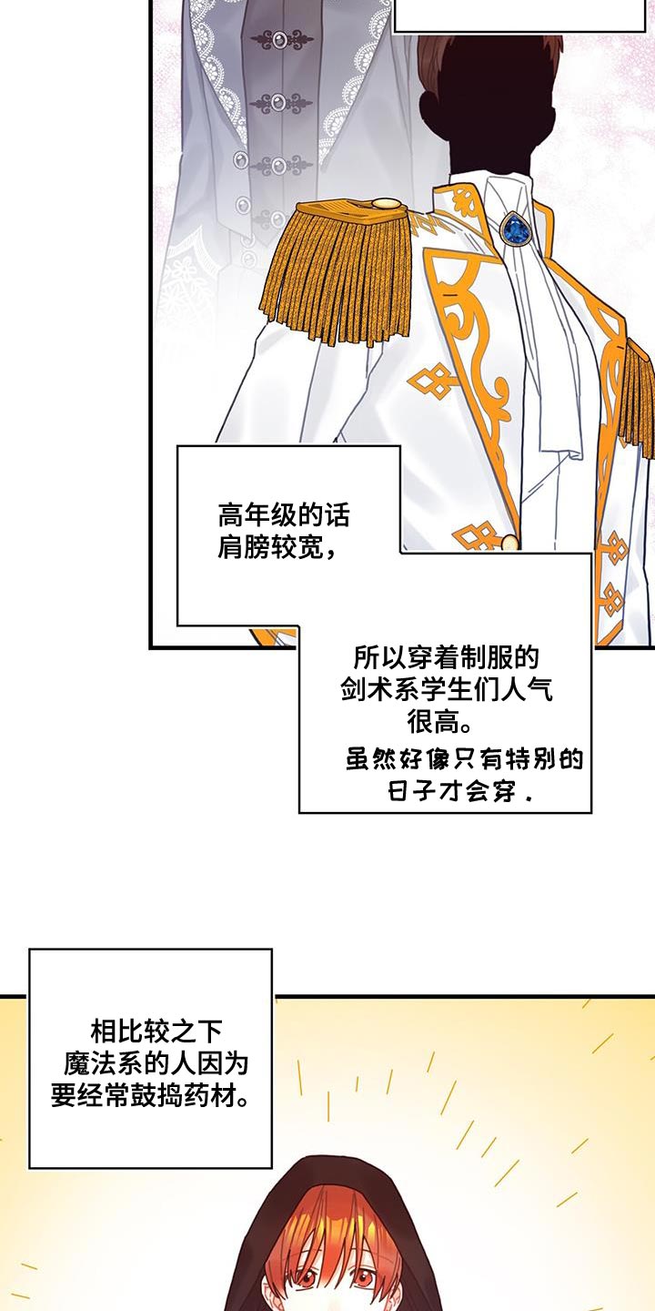 异界攻略系统漫画免费阅读无弹窗漫画,第65章：武斗会3图