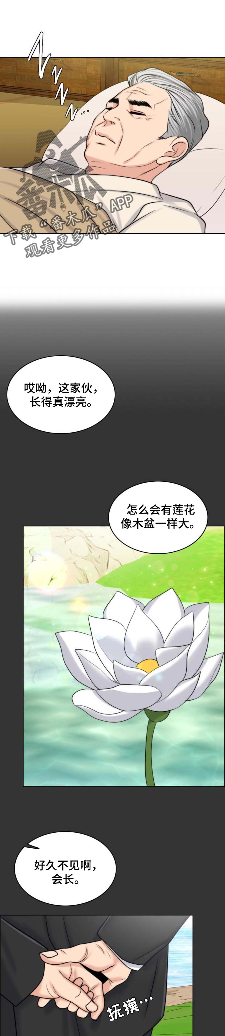 限时婚姻的纠葛51漫画,第74章：出淤泥而不染1图