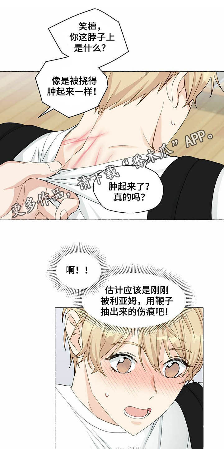 香草是什么香料漫画,第65章：隐瞒1图