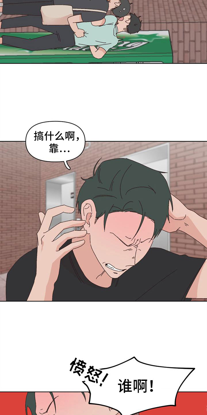 明星攻略礼包漫画,第31章：她来了4图