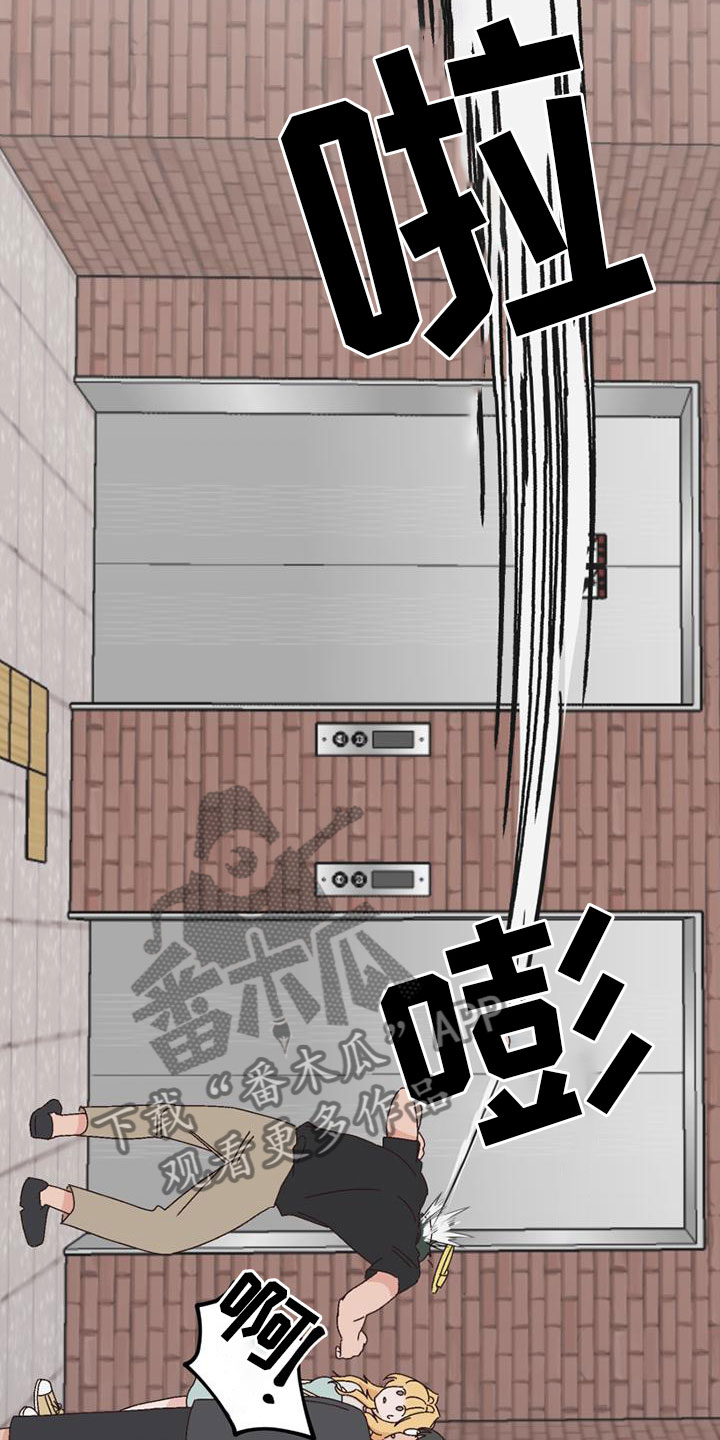 明星攻略礼包漫画,第31章：她来了3图