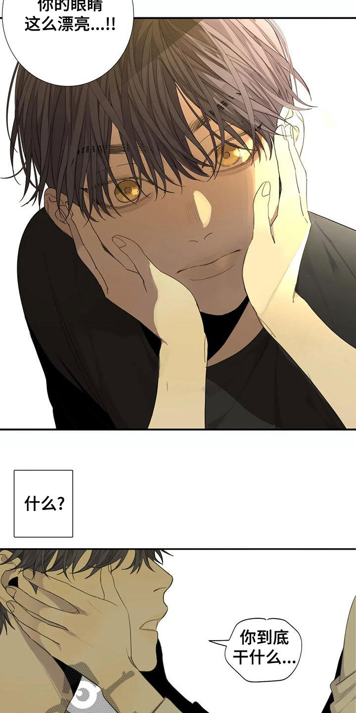 第53章：【第二季】没有朋友3