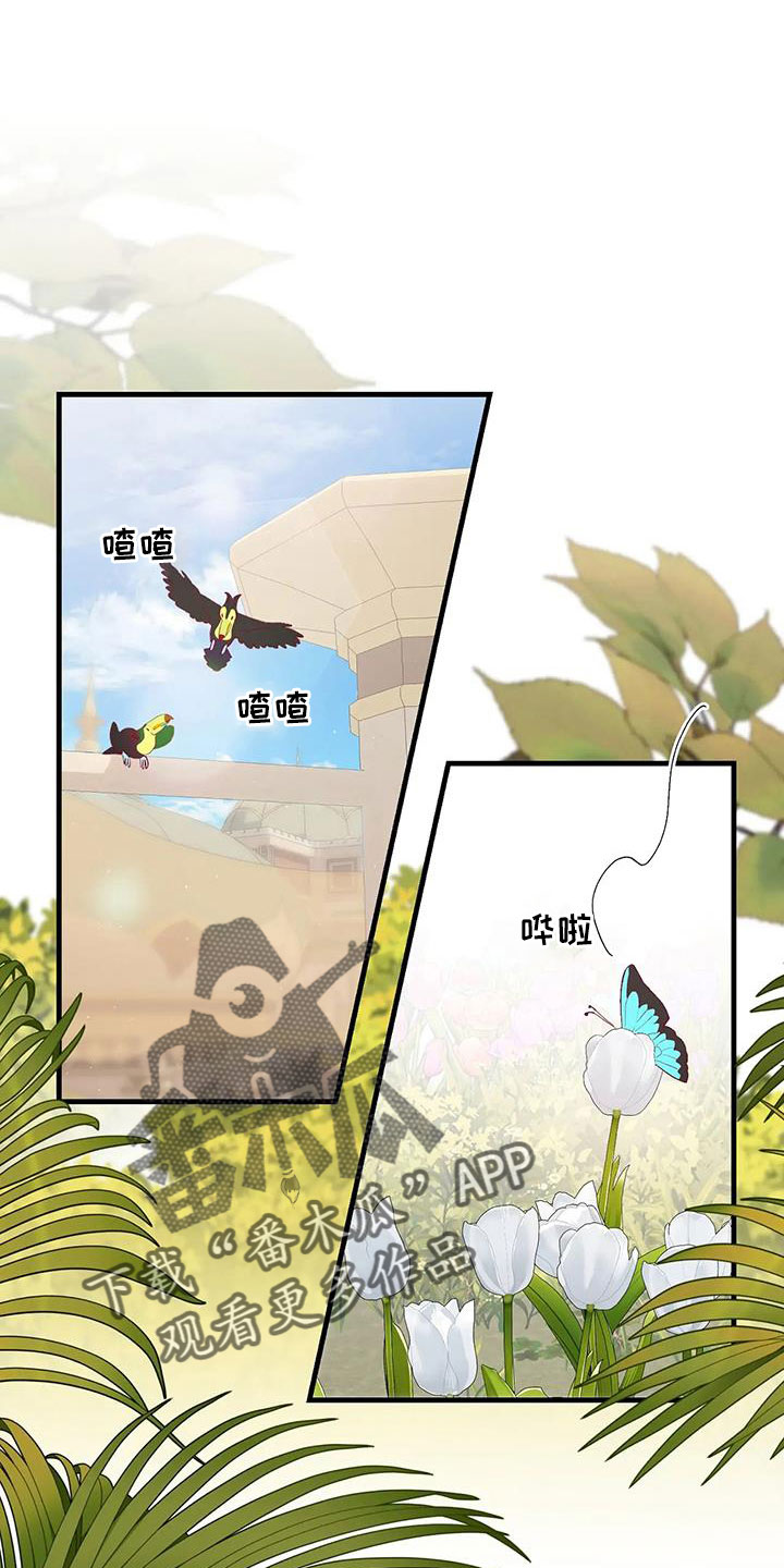 第114章：机密0