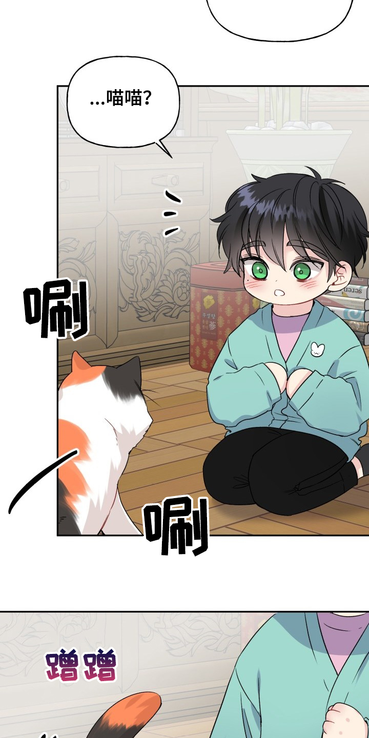 初恋重逢漫画漫画,第103章：好像喵喵4图