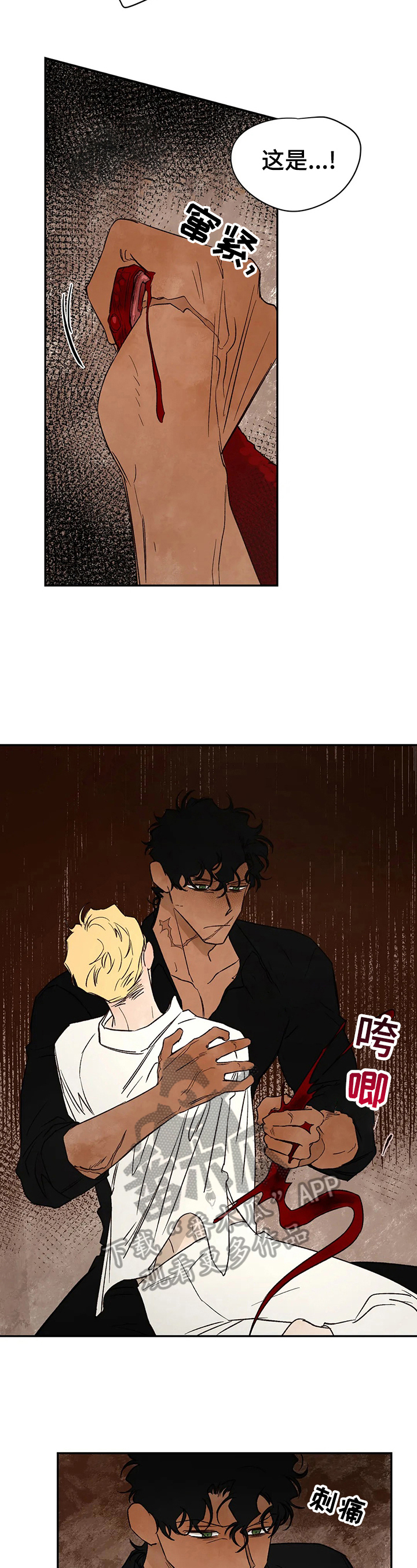 血脂组成漫画,第31章：询问2图