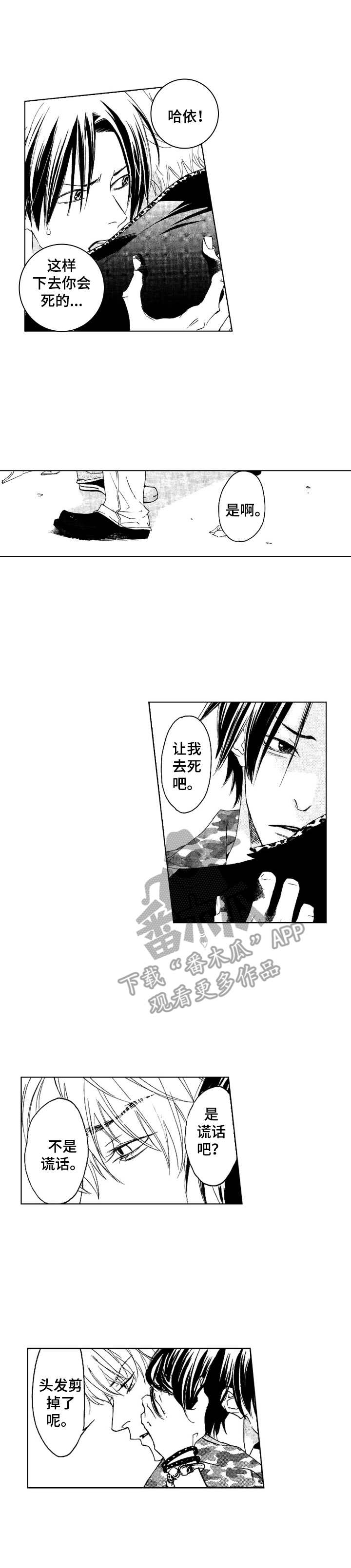 代号传奇小说漫画,第22章：厌倦了1图
