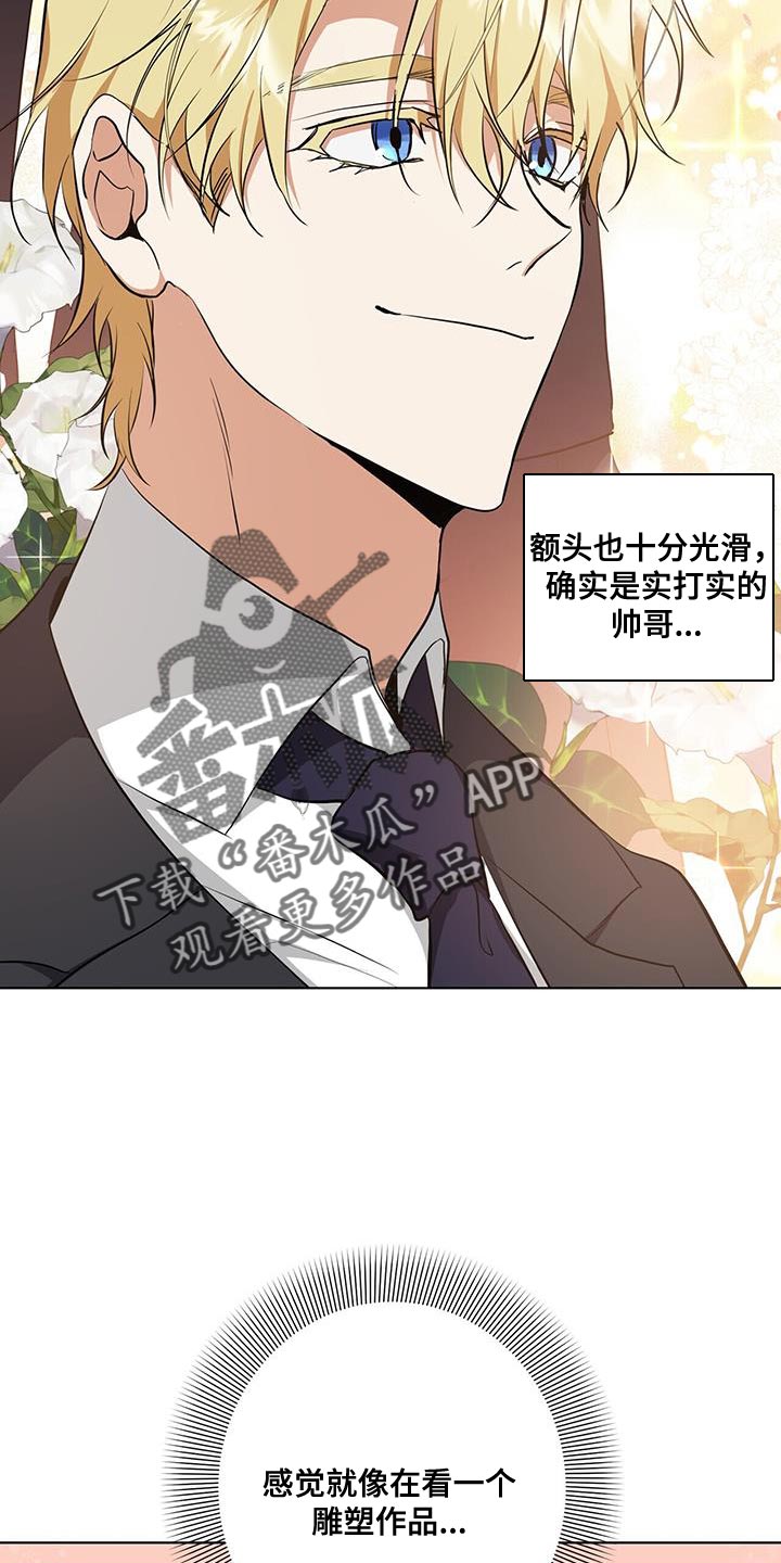 吸血鬼日记第三季漫画,第36章：或许可以试试2图