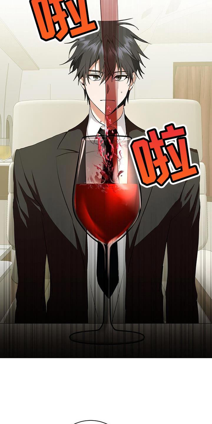 吸血鬼特工漫画免费阅读漫画,第27章：私人飞机3图