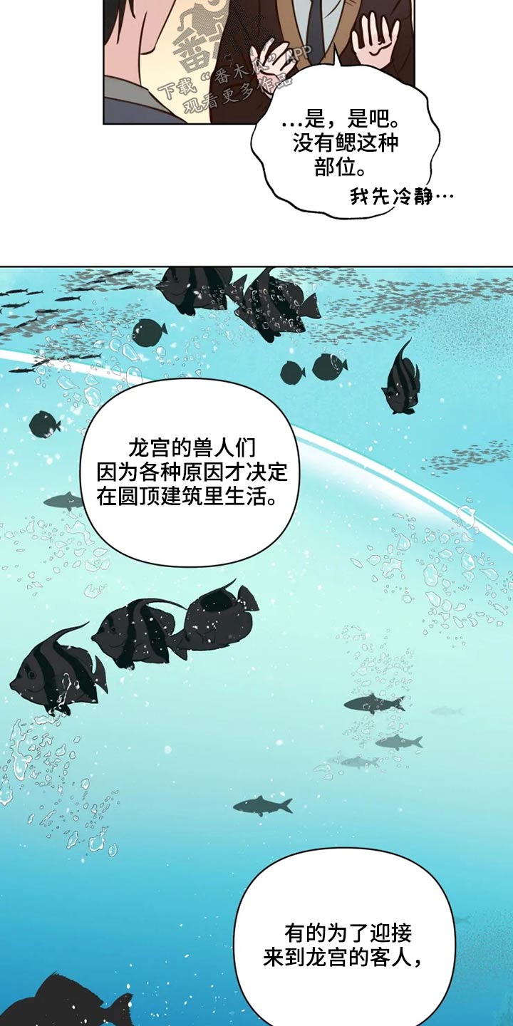 龟兔同行动漫推荐漫画,第35章：检测3图