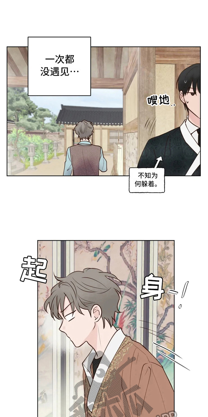 龟兔赛跑新编作文漫画,第12章：躲避2图
