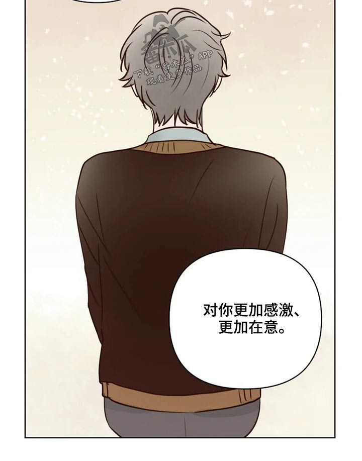 龟兔赛跑漫画,第37章：不可以5图