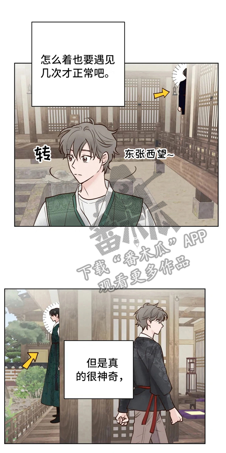 龟兔赛跑新编作文漫画,第12章：躲避1图