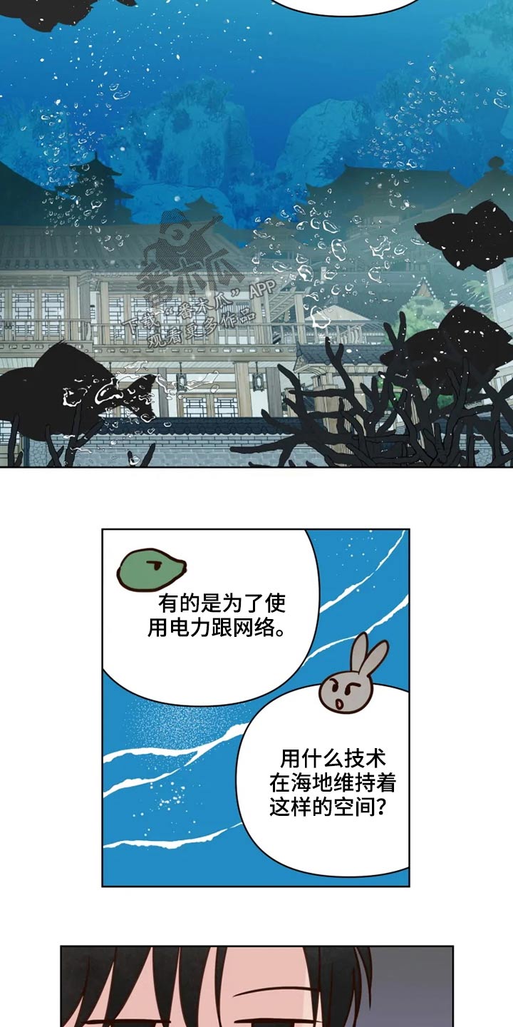 龟兔同行动漫推荐漫画,第35章：检测4图